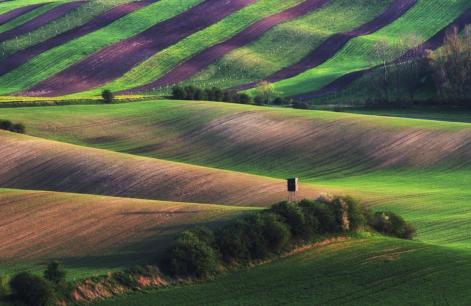 , Сергей Давыдов