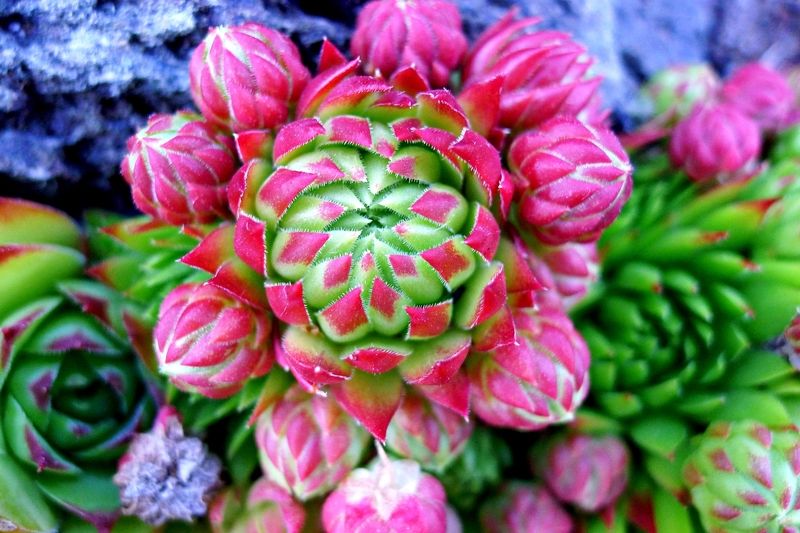 Ну что, Данила Мастер?.... фото превью