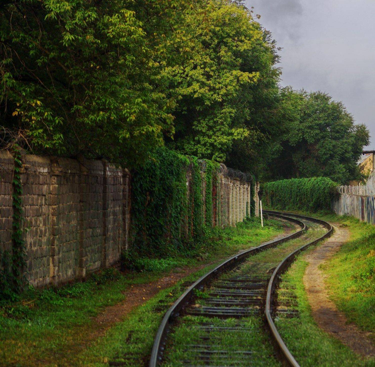 , Тимур Подколзин