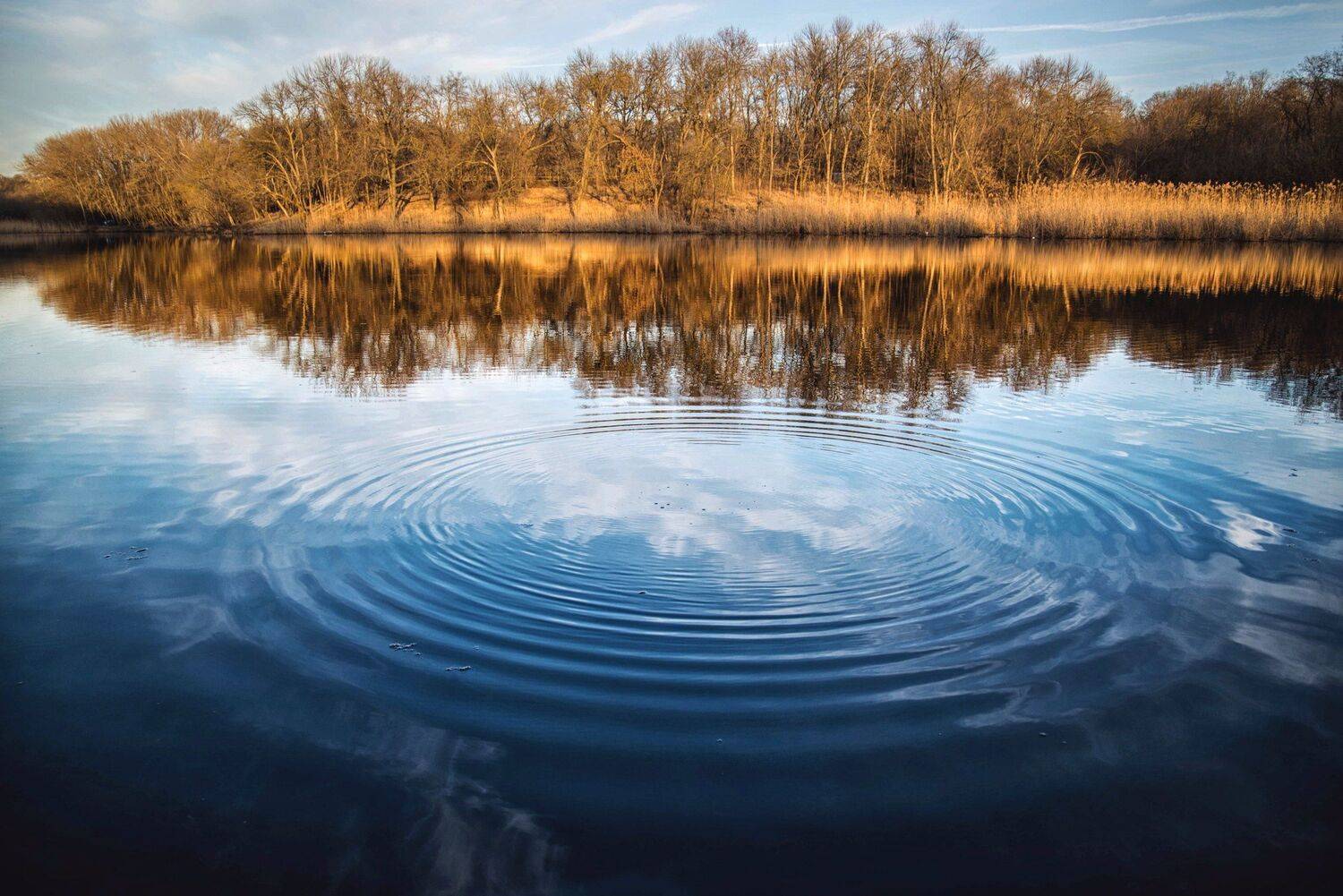 пруд осень природа пейзаж pond autumn nature landscape, Егор Бугримов
