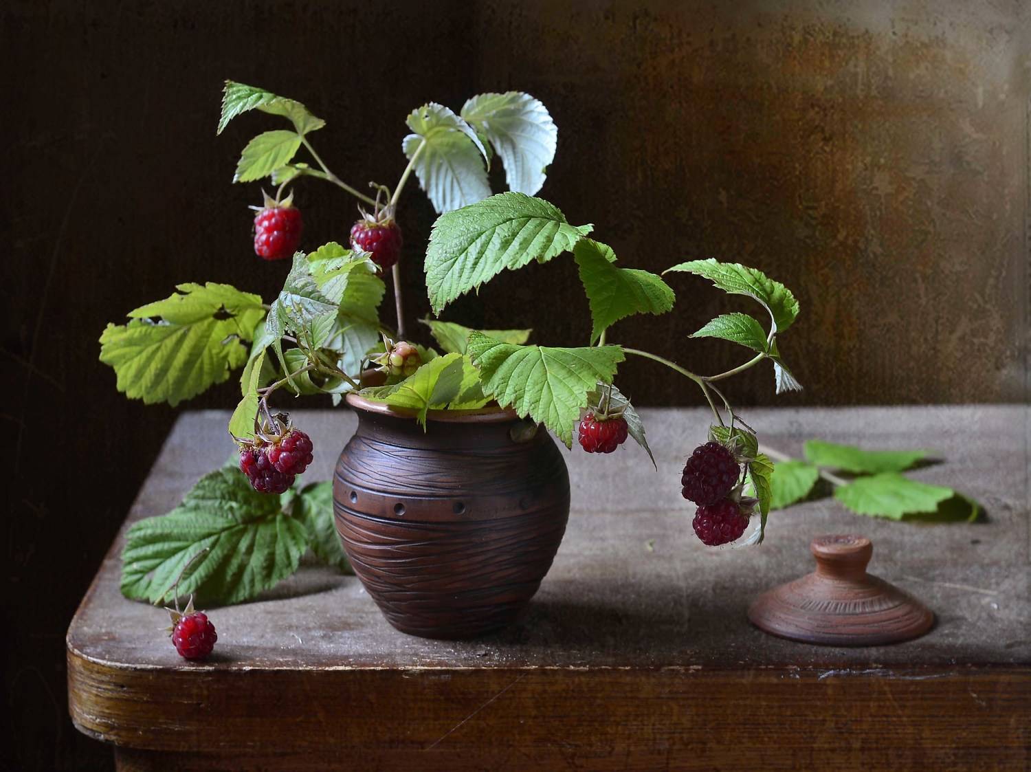 , Оксана Евкодимова