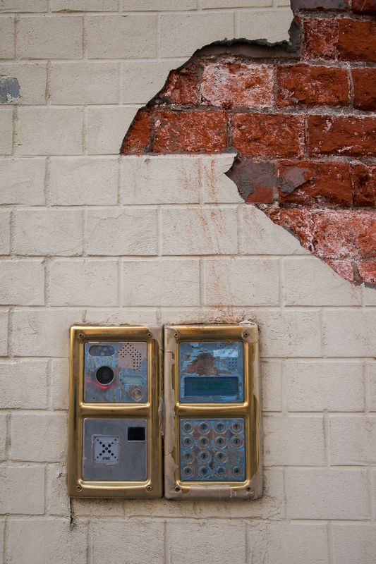 Bird фото превью