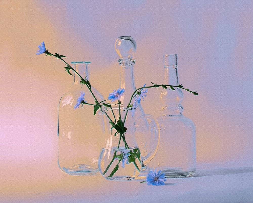 , Анжелика Королева