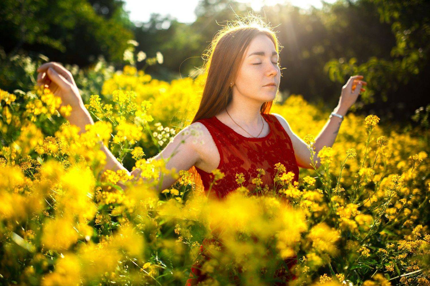 поле, цветы, в цветах, девушка в поле, желтые цветы, желтое поле, раскинутые руки, солнце, против света, , Маховицкая Кристина