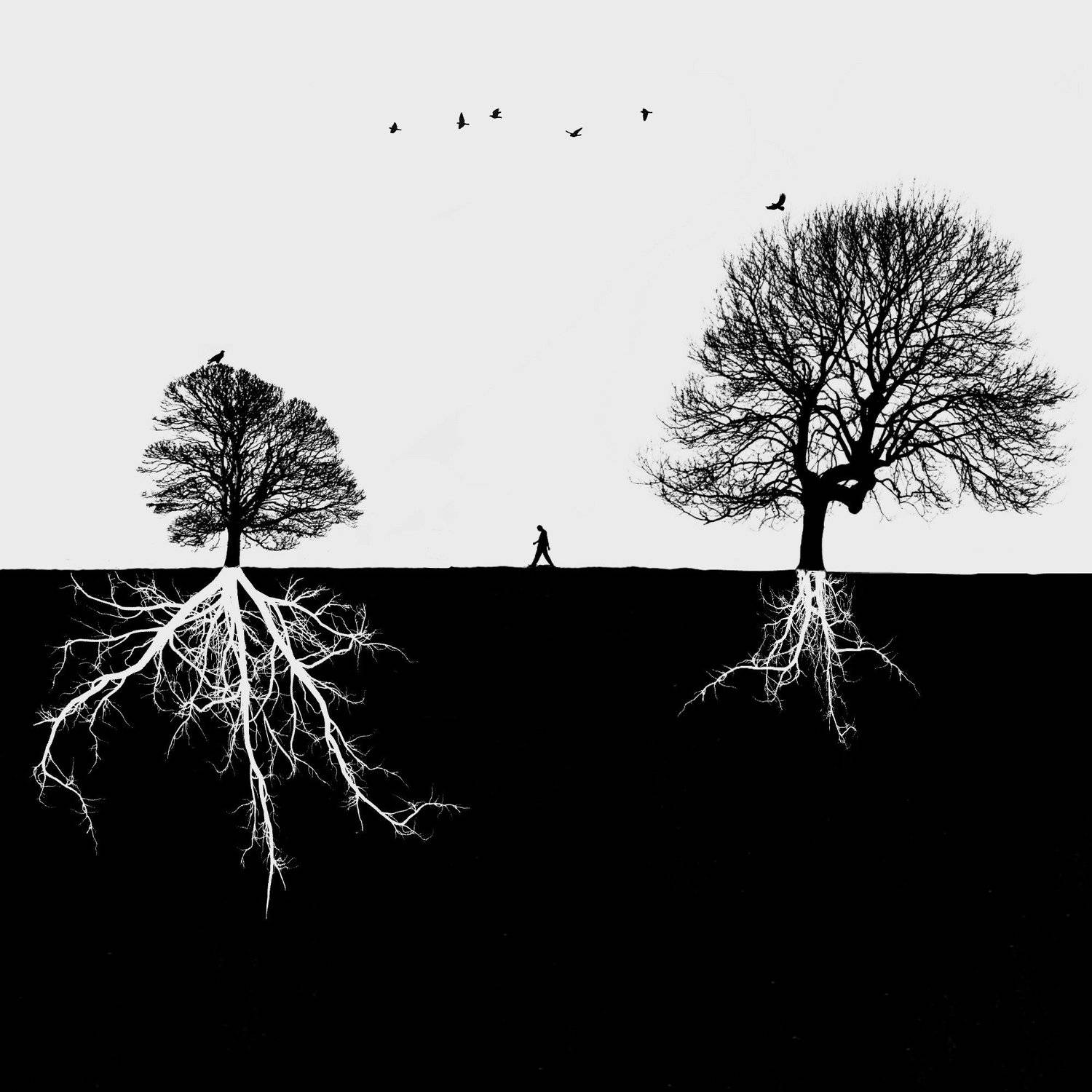 &nbsp;#35photo #surrealart#photoshop#ps_fantasy#art_minimal #bnw_dream #photography#minimalism#conceptual#fineart #instagram#ps_dreams#bnwminimalismmag#art_digital #ir_photographer#ir_aks#minimal#canon#blackandwhite#bnw#surreal#conceptualart#art#fantastic_eart, Hadi Malijani