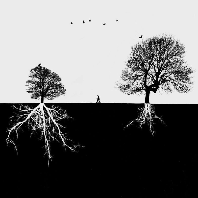  #35photo #surrealart#photoshop#ps_fantasy#art_minimal #bnw_dream #photography#minimalism#conceptual#fineart #instagram#ps_dreams#bnwminimalismmag#art_digital #ir_photographer#ir_aks#minimal#canon#blackandwhite#bnw#surreal#conceptualart#art#fantastic_eart Difference фото превью