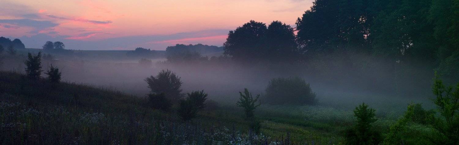 , Виталий Кононов