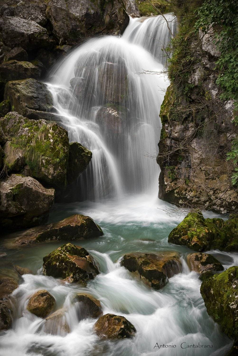 , Antonio Cantabrana