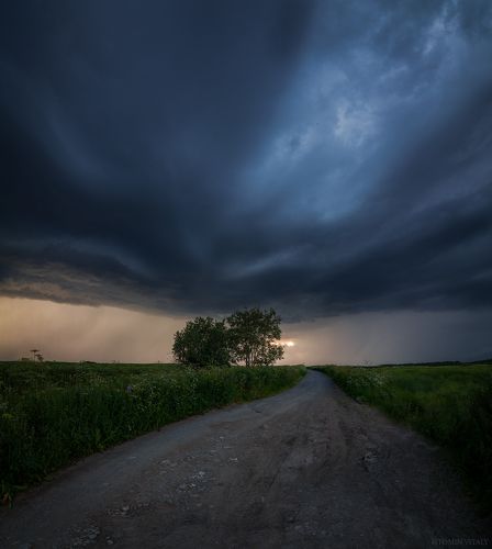 Перед грозой