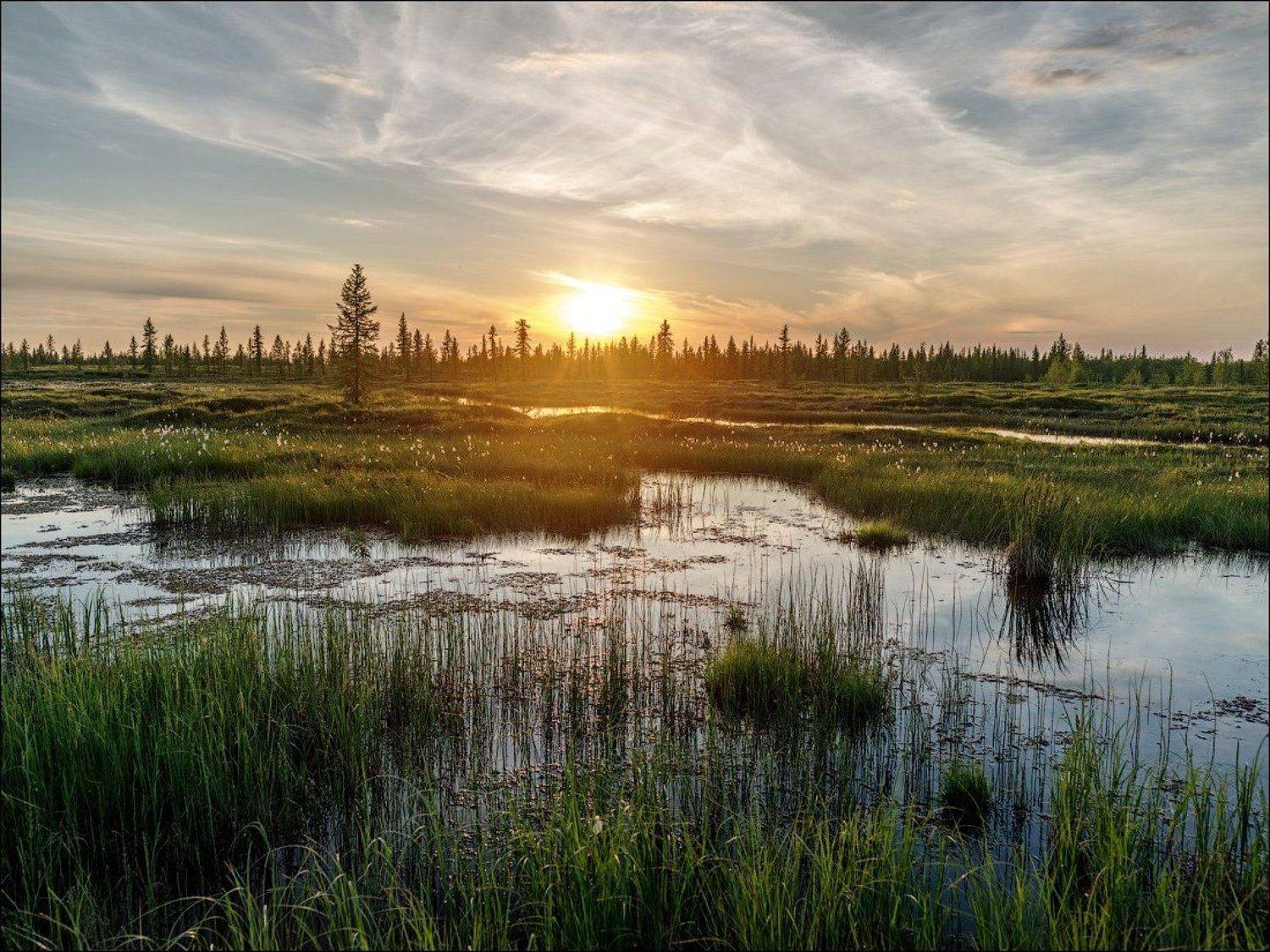 солнце, закат, тундра, пейзаж, небо, вода, Роман Чудинович