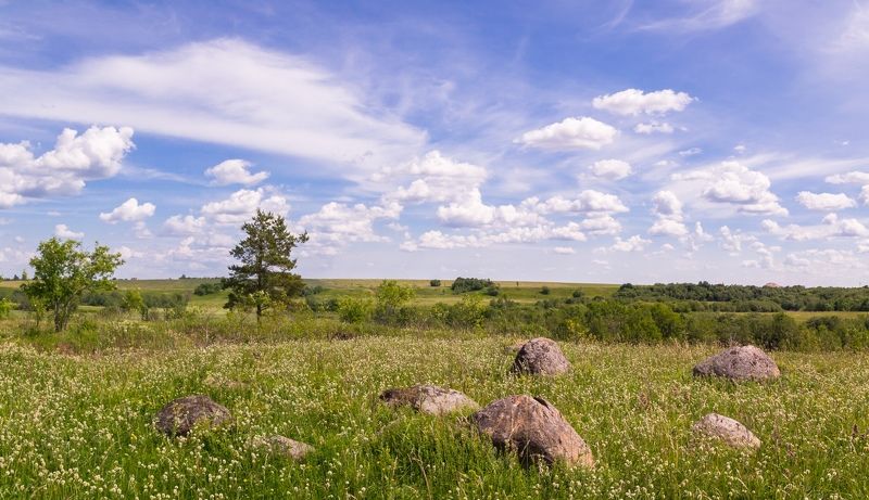 pskov, pleskau, псков, landscape, природа, небо, sky, clouds, облака, nature ... фото превью
