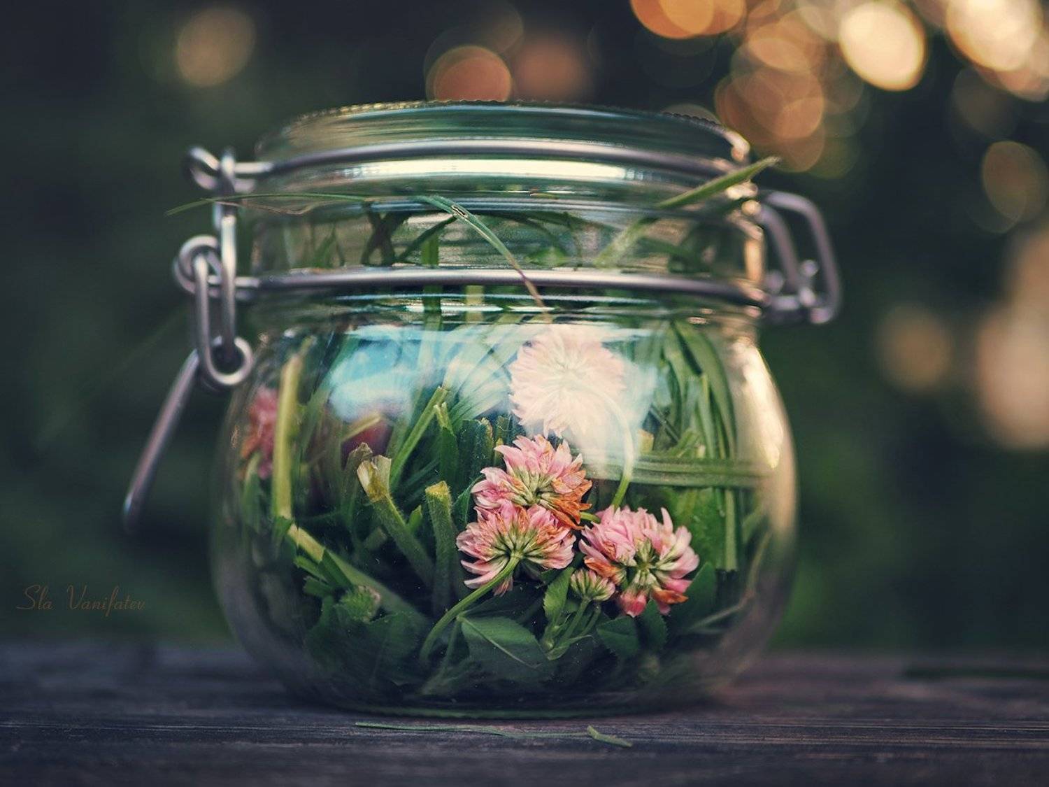 на, зиму...., Вячеслав Ванифатьев