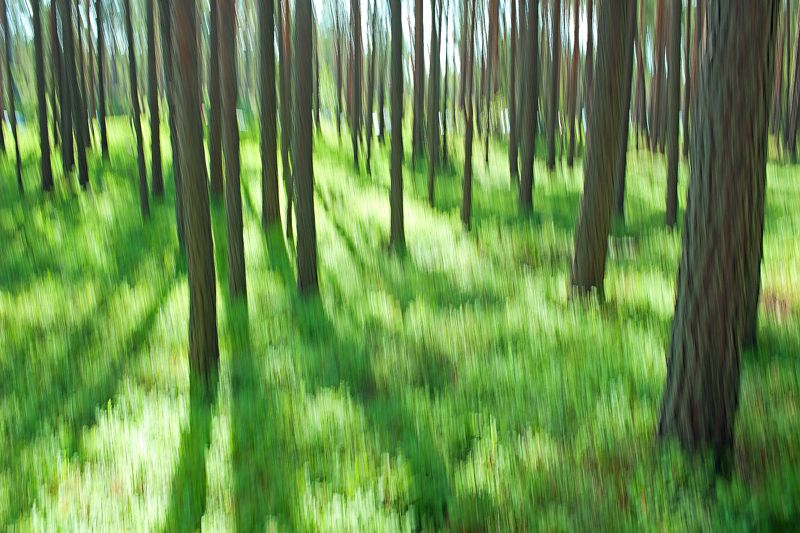 естественное фото, хорошая фотография; nature photo, good photo, studio photo Nature preludes фото превью