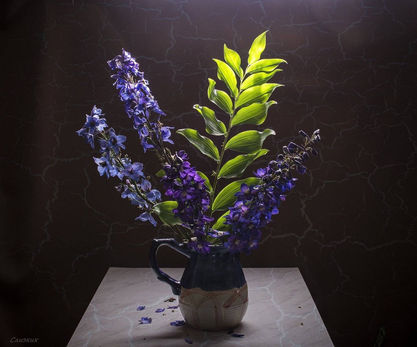 букет,натюрморт,дельфиниум,кувшин,свет, Инаида