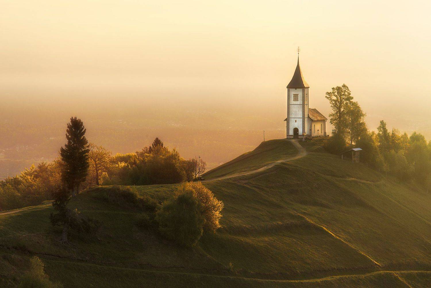 , Тодор Танев