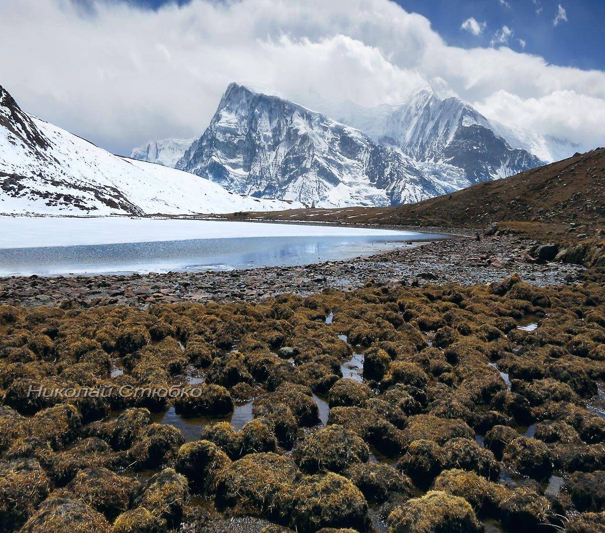 горы гималаи ice lake, Николай Стюбко