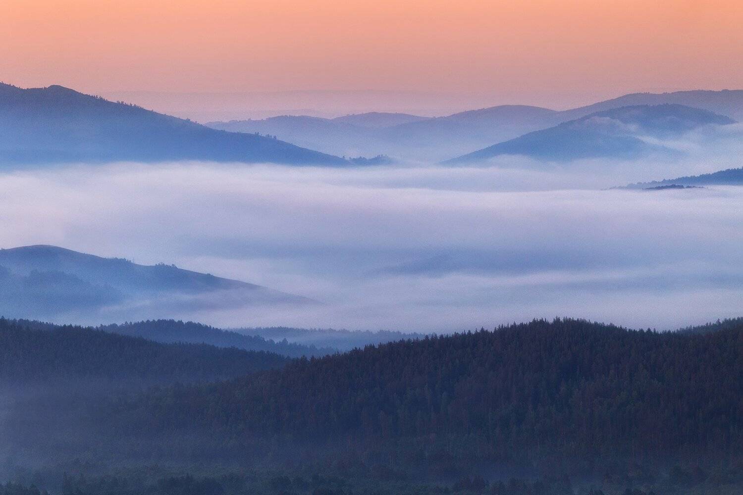 , Павел Сагайдак