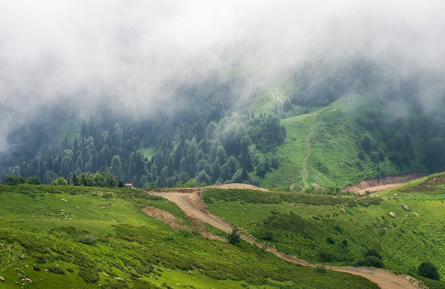 , Игорь Мелекесцев