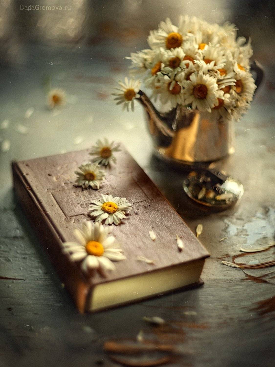 ромашки, боке, натюрморт, дарья громова, фотография, фото, фотоарт, фотограф, закат, чайник, Дарья Громова