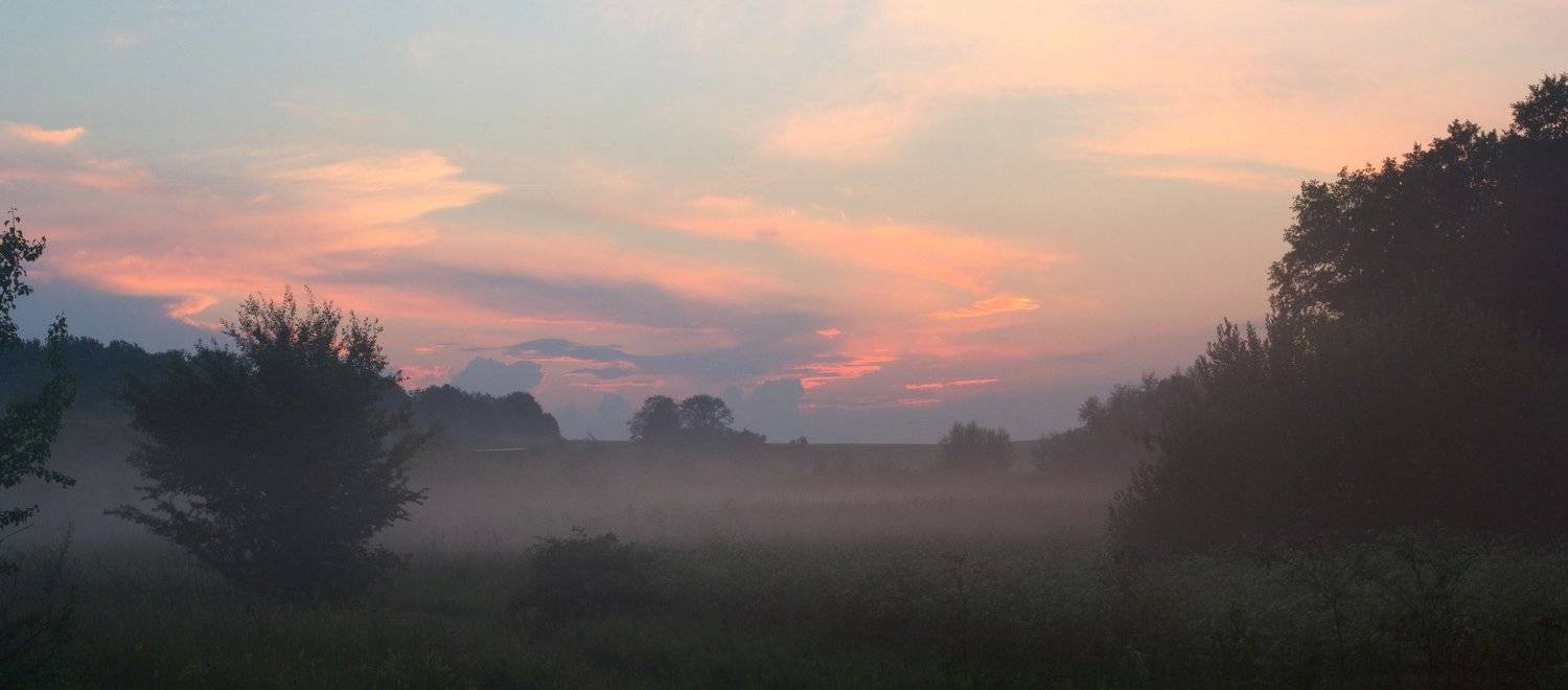 , Виталий Кононов