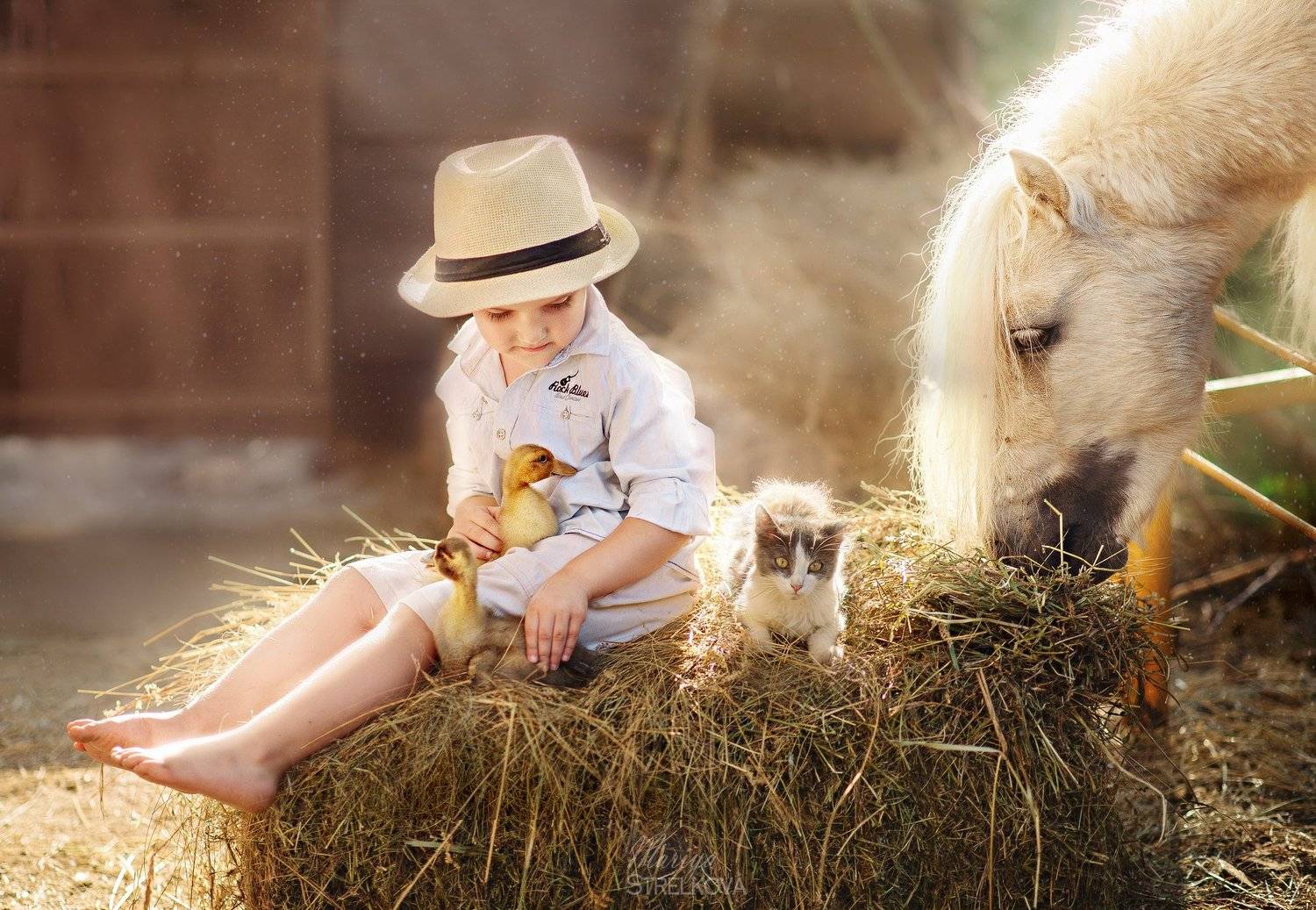 , Стрелкова Мария