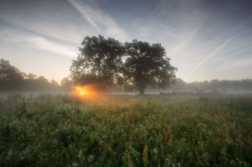 Первые лучи солнечного утра