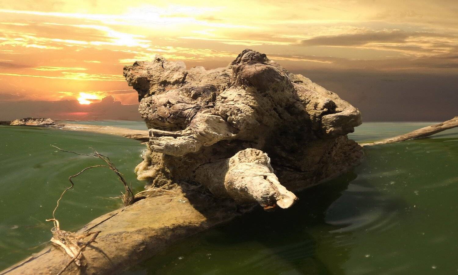 одесса, Сергей Кошелев