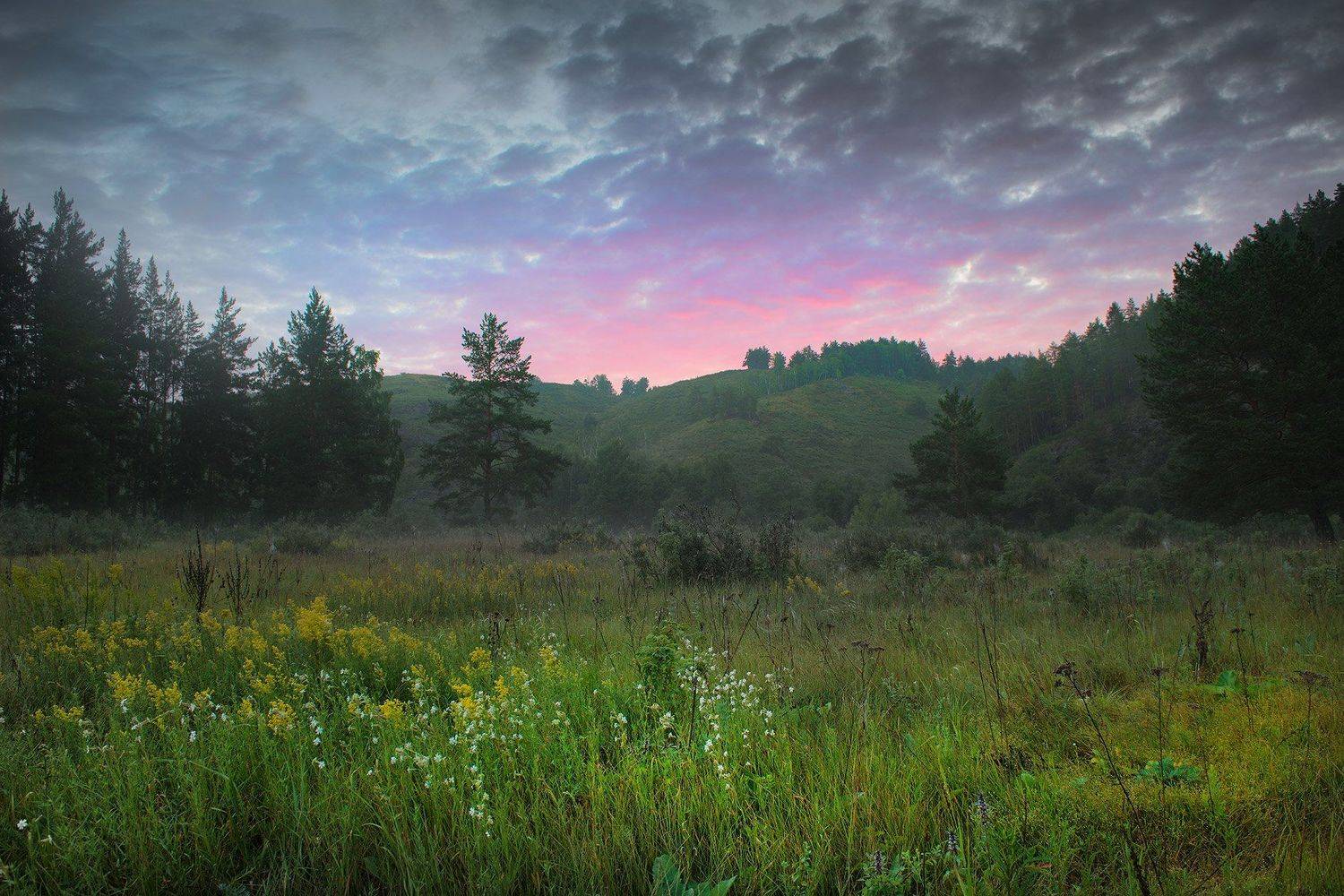 , Орлов Михаил