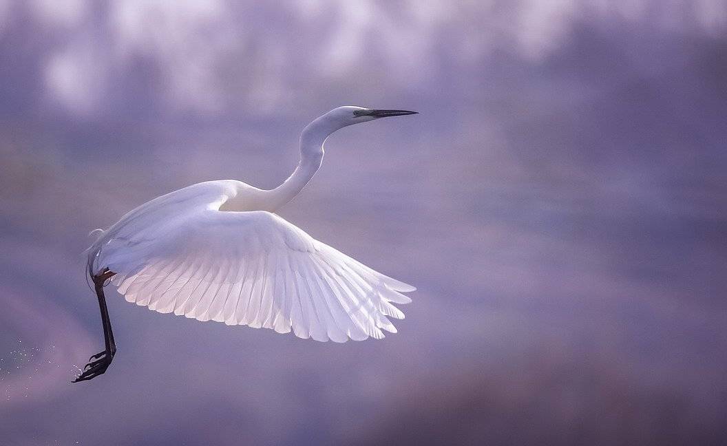 , Вячеслав Мищенко