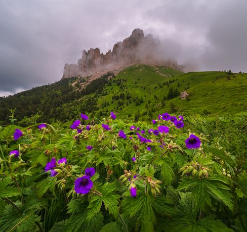 На склонах Большого Тхача