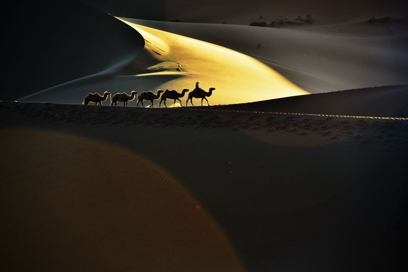 At desert 1 фото превью