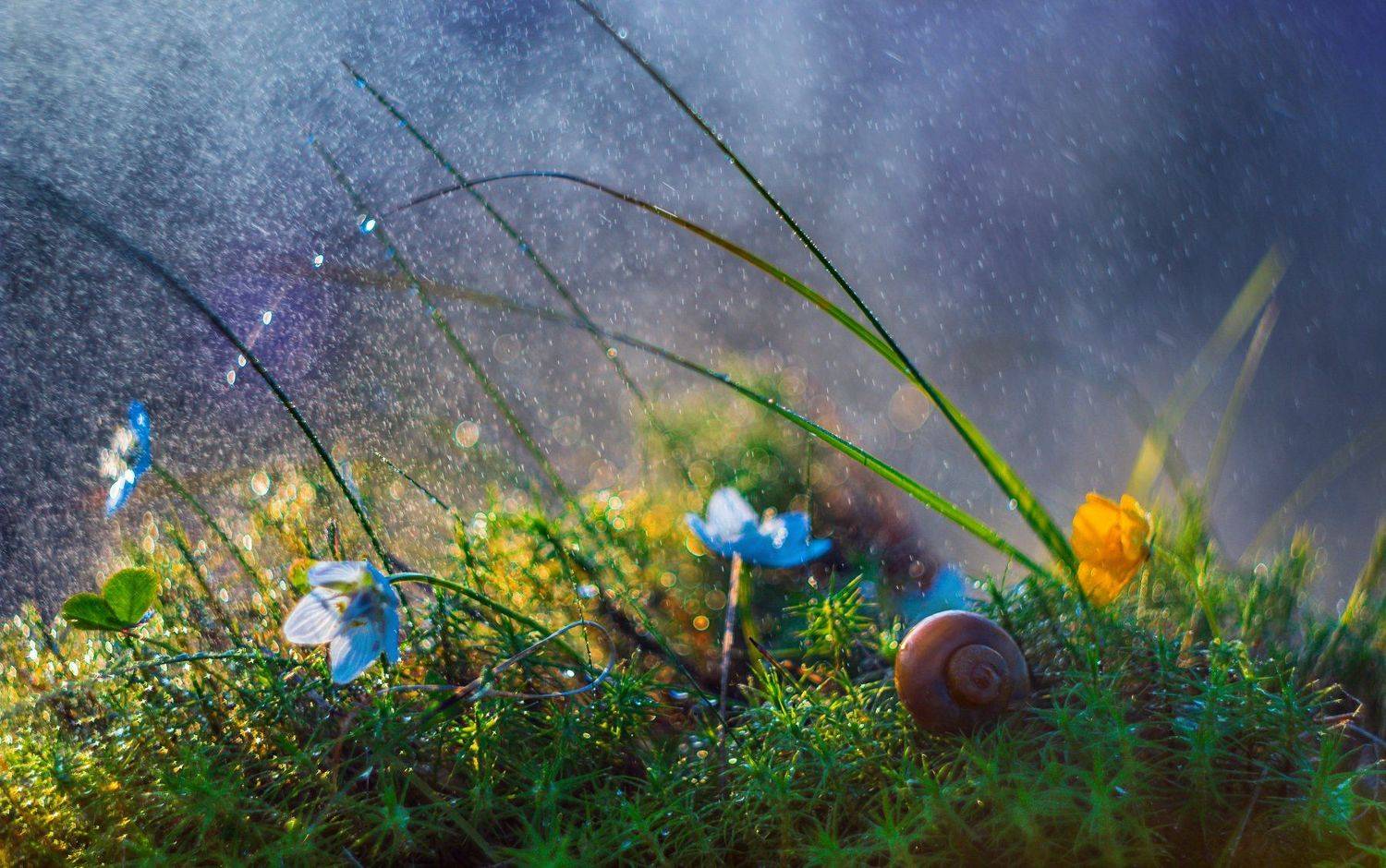 ямал, макро ,природа, салехард, Настя Братка