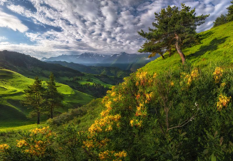 кавказ, ингушетия, эрзи Ингушетия. Заповедник Эрзи. фото превью