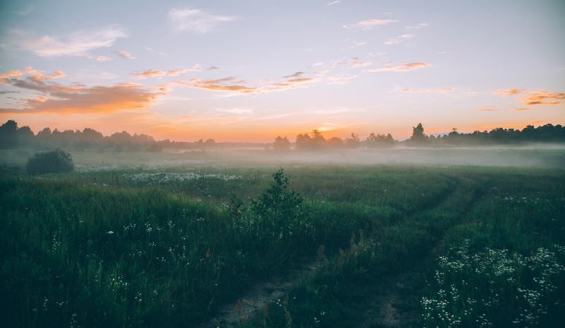 Туманное поле фото превью