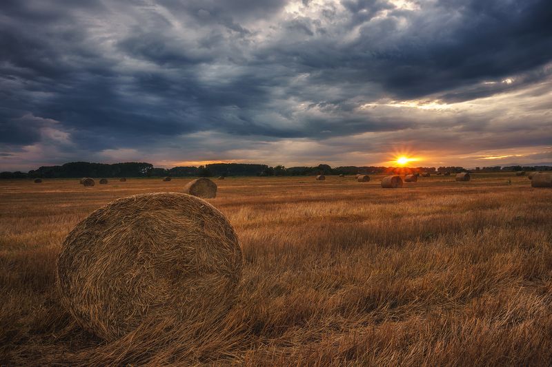 Summer sunset фото превью