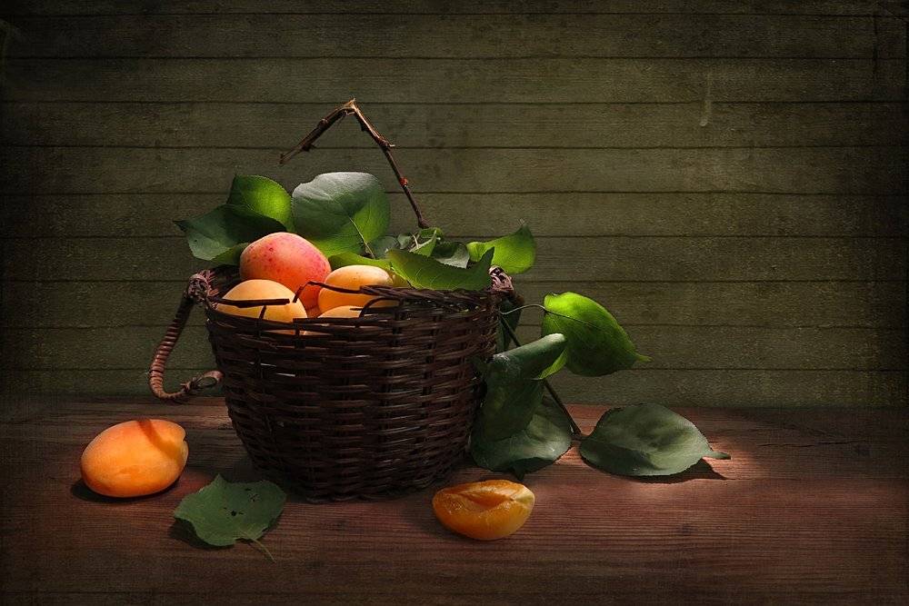 корзина,абрикосы,божья коровка, Алла Шевченко