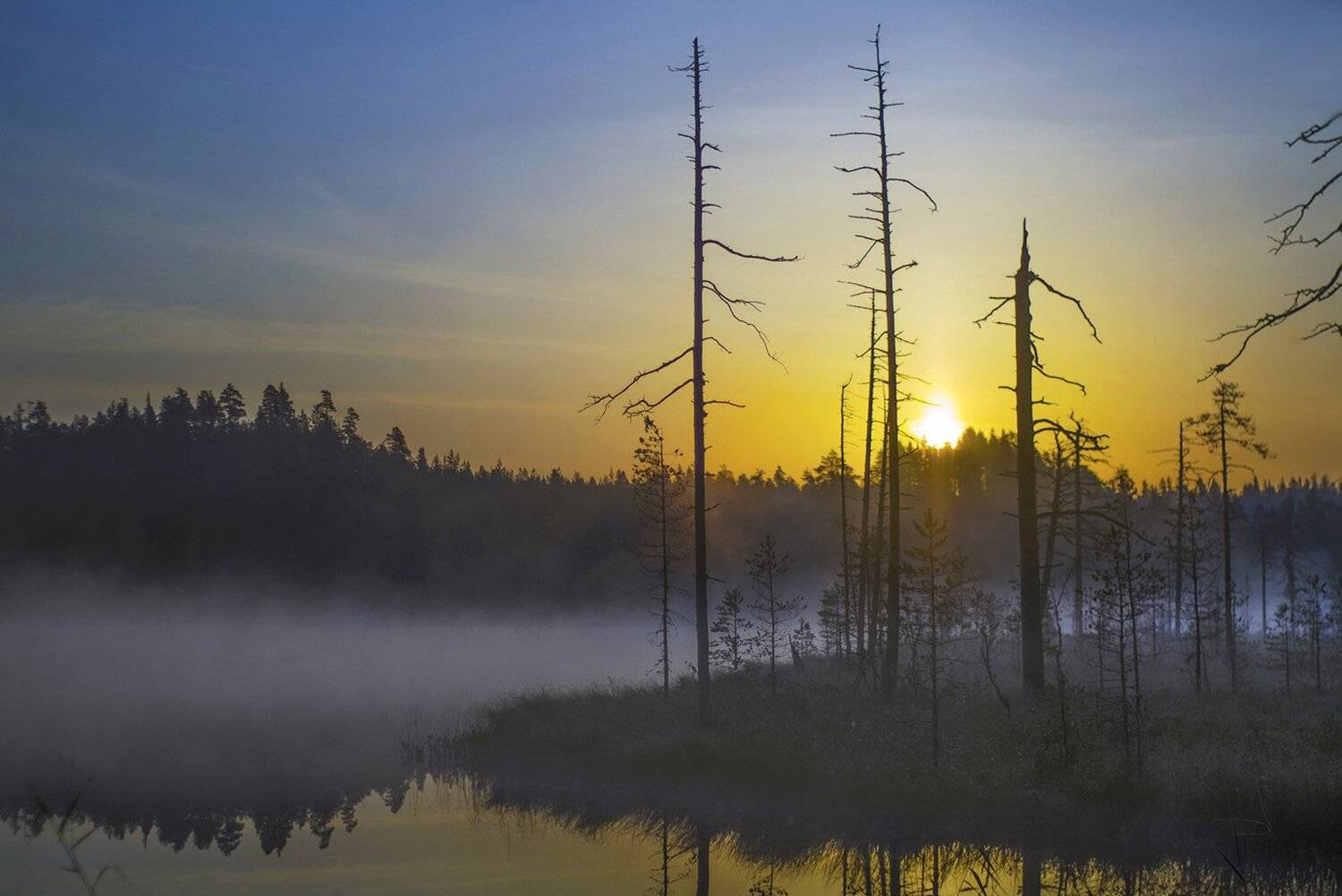 карелия, Виктор
