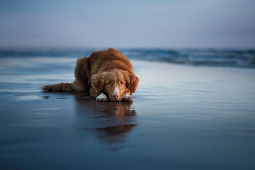 отдых на море