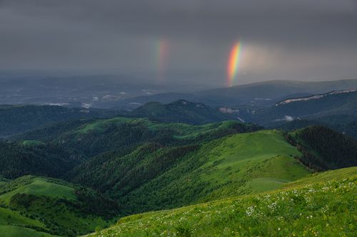 Рождённая солнцем