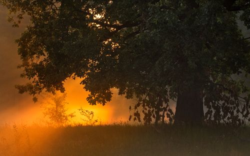 Пробуждение
