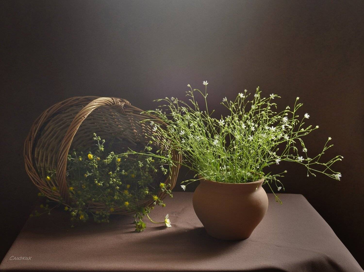 натюрморт,трава,корзина,горшочек,свет,лето, Инаида