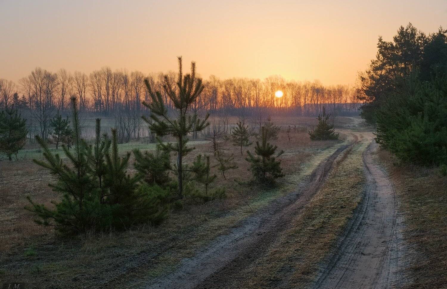 апрель, весна, дорога, дымка, лес, луг, пар, рассвет, солнце, сосны, утро, trees, april, mist, pine, meadow, countryroad, fog, forest, morning, road, spring, sun, sunrise, Ivan Maljarenko