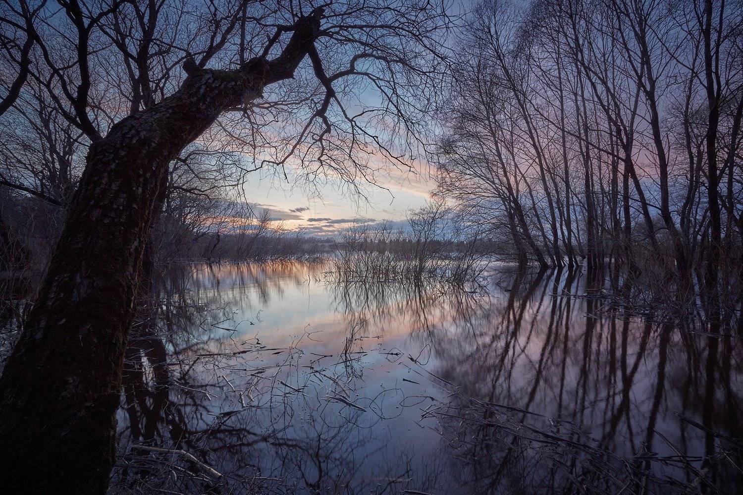 , Антон Кононов