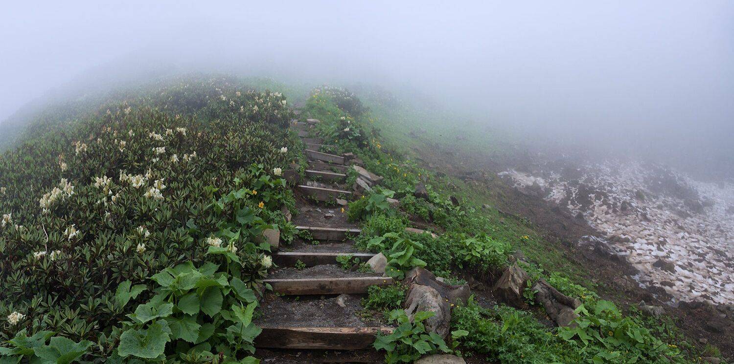 , Игорь Мелекесцев