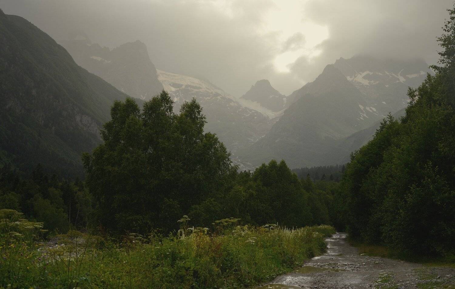 горы лето вечер домбай, Александр Жарников
