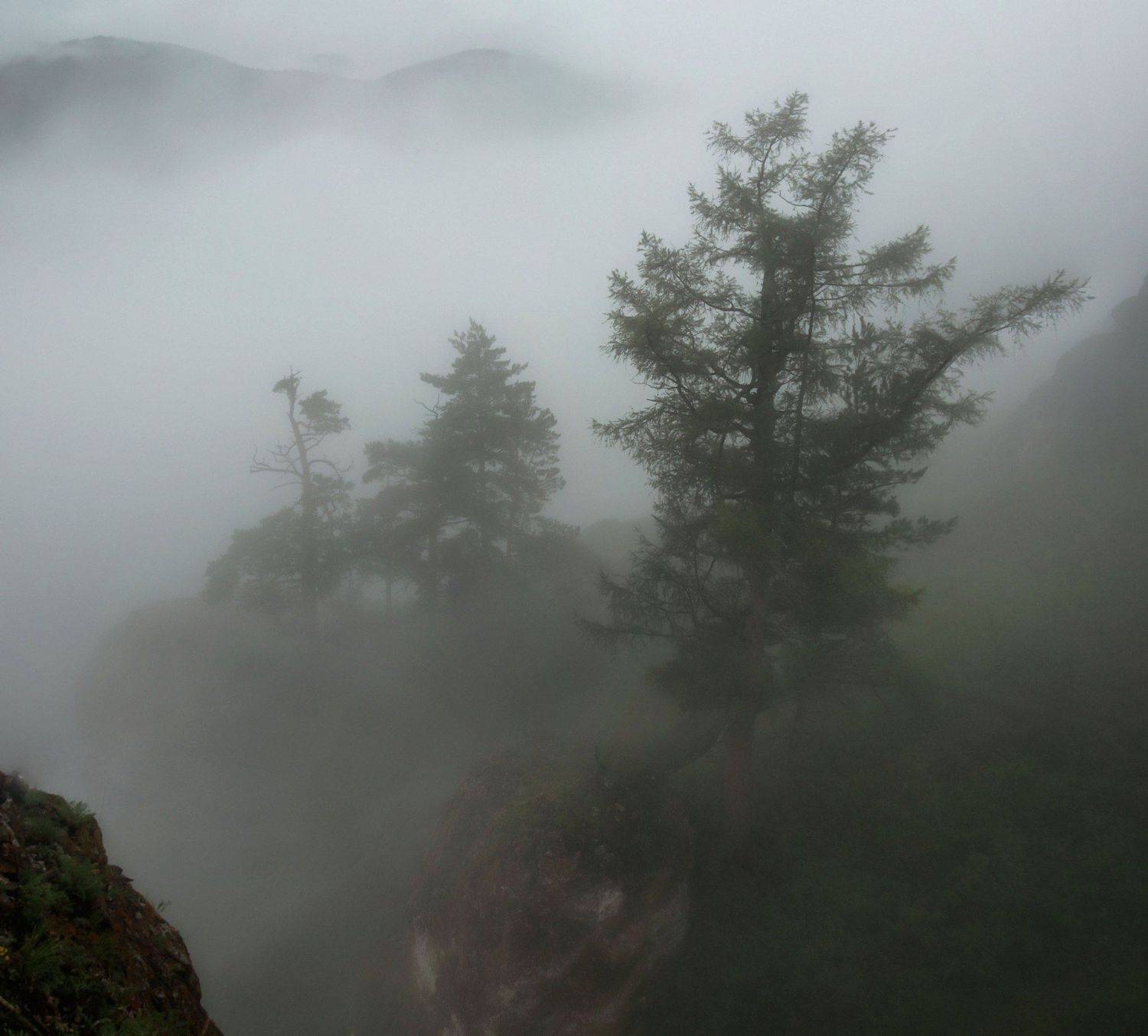 туман. торгашинский хребет., Марина Фомина