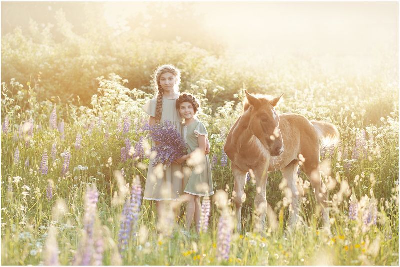 Лето фото превью