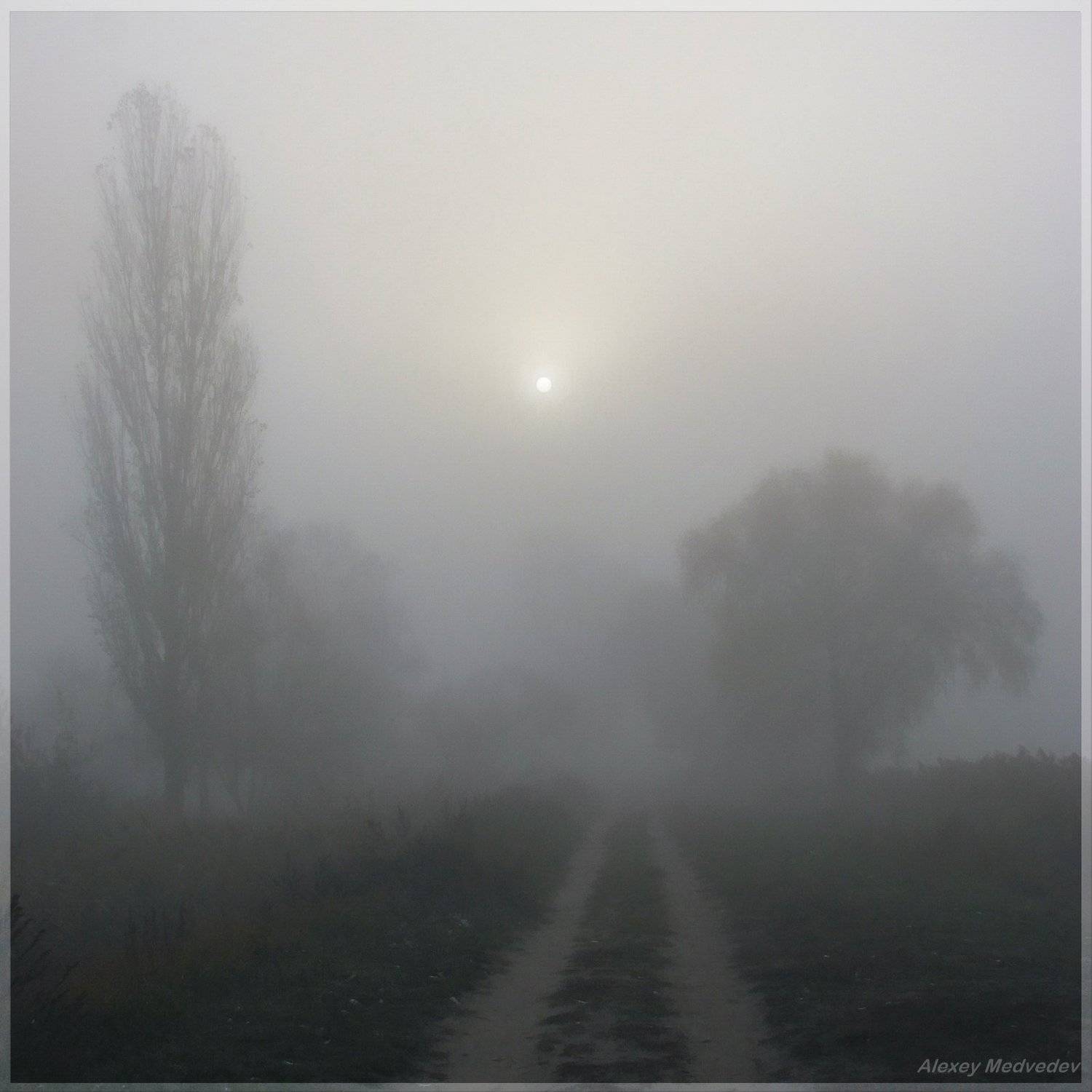 васильков, стугна, дорога, тман, солнце, рассвет, Алексей Медведев