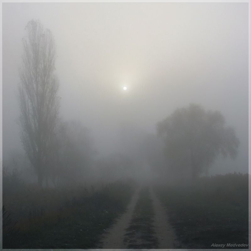 васильков, стугна, дорога, тман, солнце, рассвет Глянув фото превью