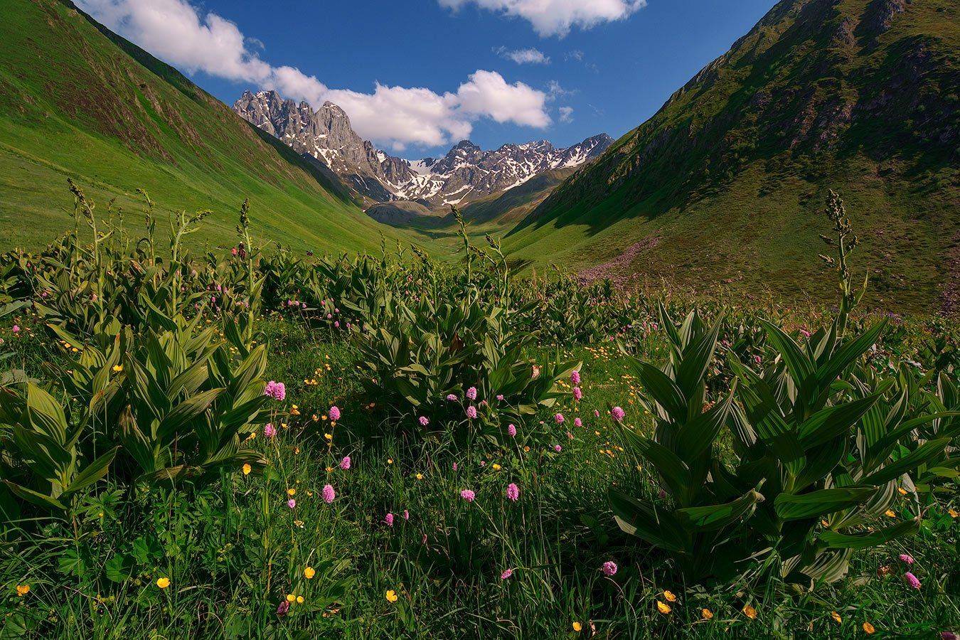 , Олег Логунов